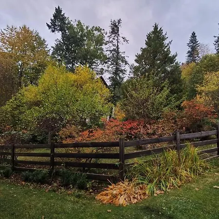 Daire Marcowka M4 - Duzy W Historycznej Willi Z Ogrodem *