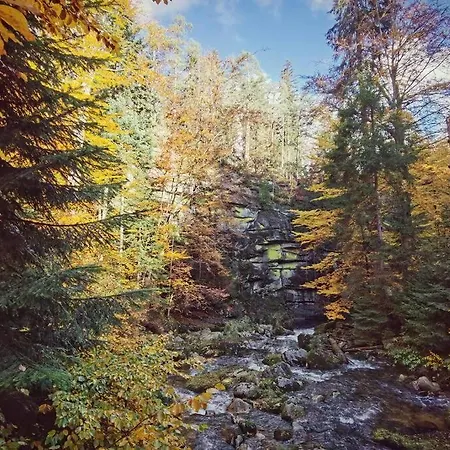 Daire Marcowka M4 - Duzy W Historycznej Willi Z Ogrodem *