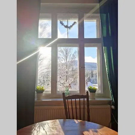 Daire Marcowka M4 - Duzy W Historycznej Willi Z Ogrodem *