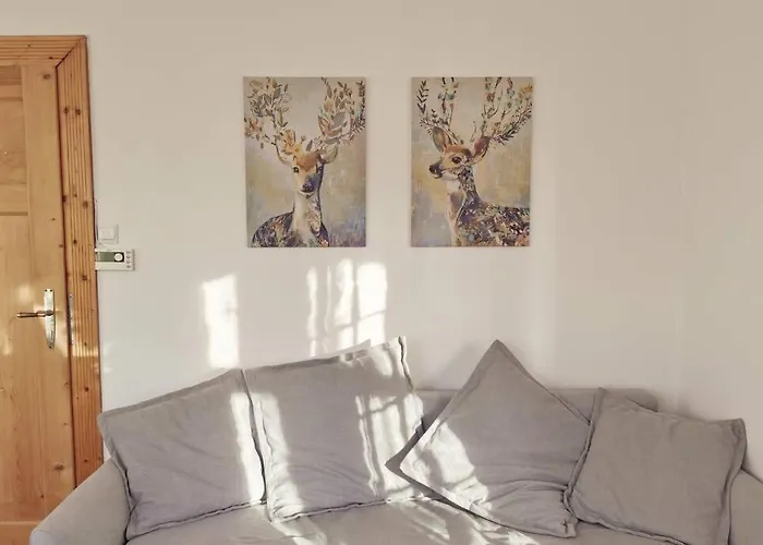 Marcowka M4 - Duzy W Historycznej Willi Z Ogrodem * 斯克拉斯卡波伦巴