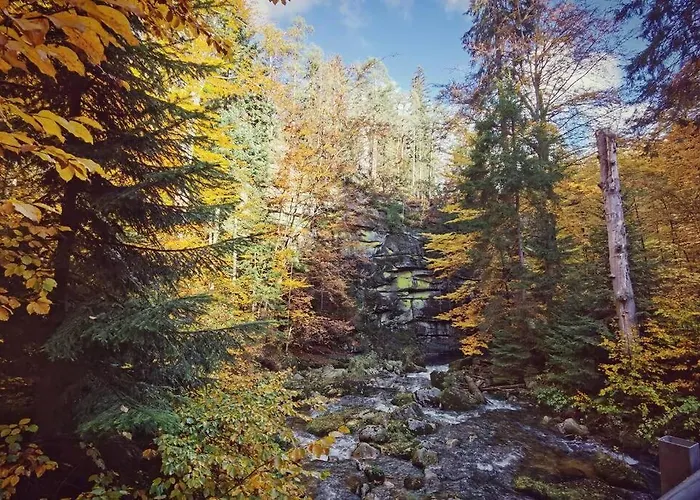 公寓 Marcowka M4 - Duzy W Historycznej Willi Z Ogrodem *