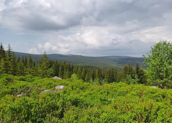 公寓 Marcowka M4 - Duzy W Historycznej Willi Z Ogrodem 斯克拉斯卡波伦巴