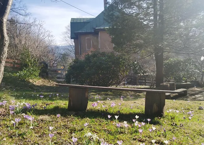 Marcowka M4 - Duzy W Historycznej Willi Z Ogrodem 公寓